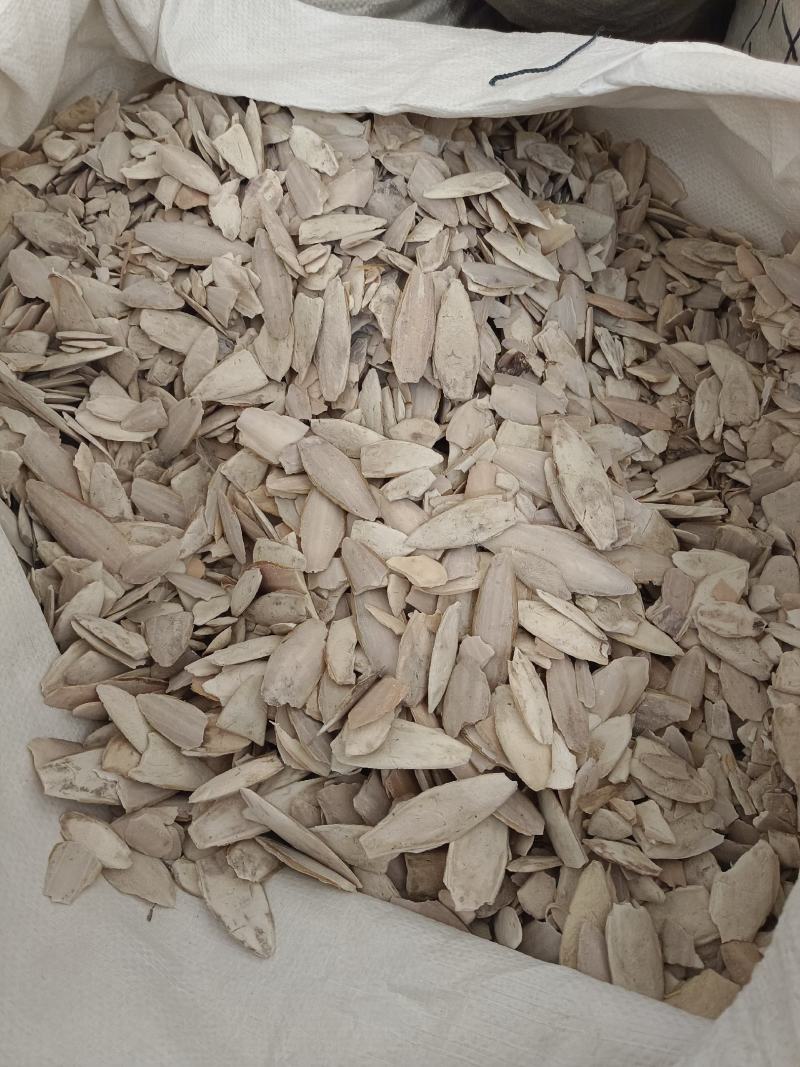 海螵蛸小个产地福建永盛药业品种齐全质量好价格低