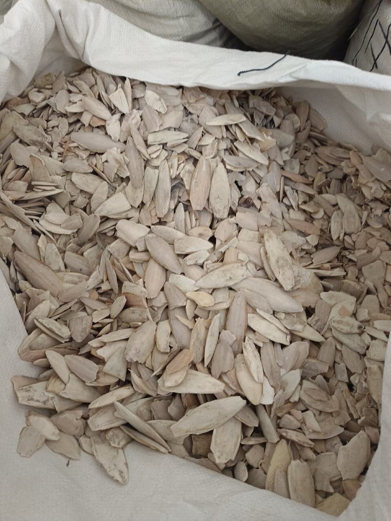 海螵蛸小个产地福建永盛药业品种齐全质量好价格低