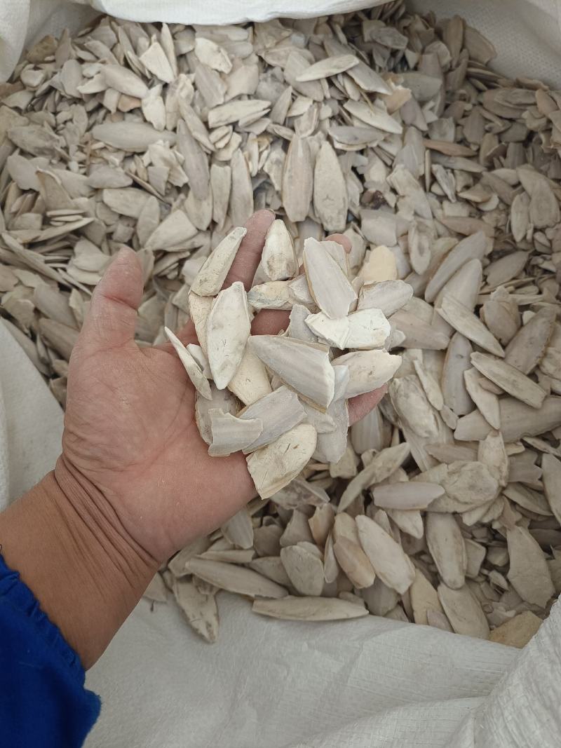 海螵蛸小个产地福建永盛药业品种齐全质量好价格低