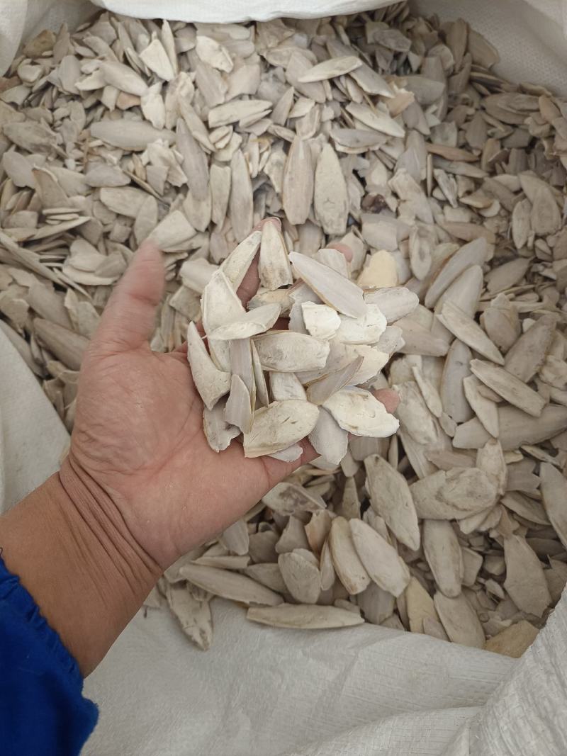 海螵蛸小个产地福建永盛药业品种齐全质量好价格低