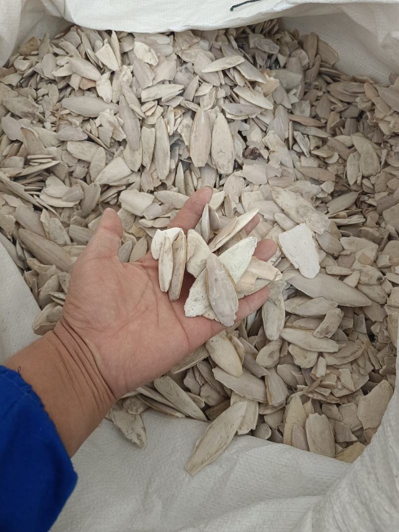 海螵蛸小个产地福建永盛药业品种齐全质量好价格低