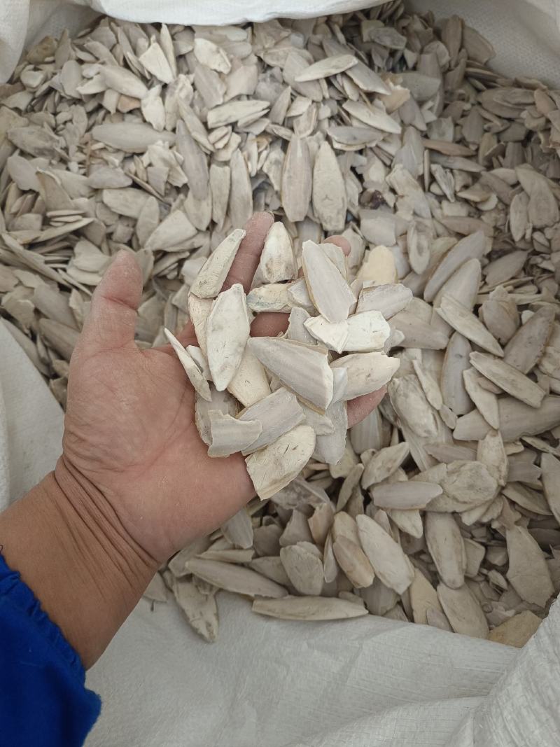 海螵蛸小个产地福建永盛药业品种齐全质量好价格低