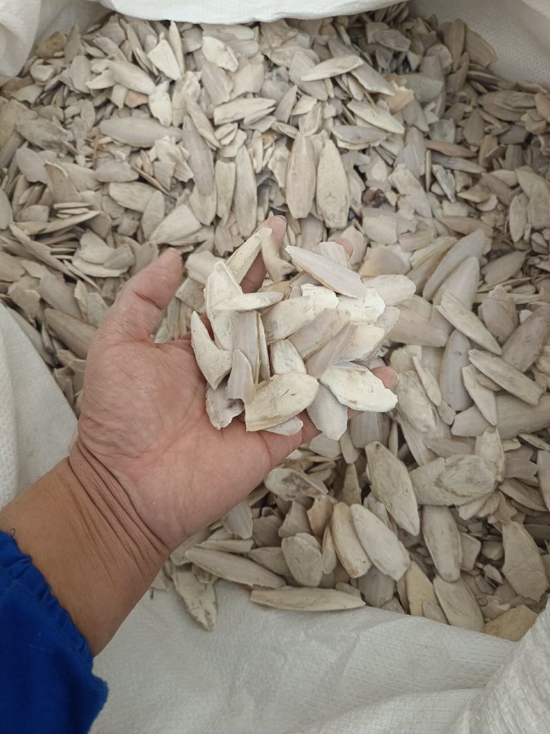 海螵蛸小个产地福建永盛药业品种齐全质量好价格低