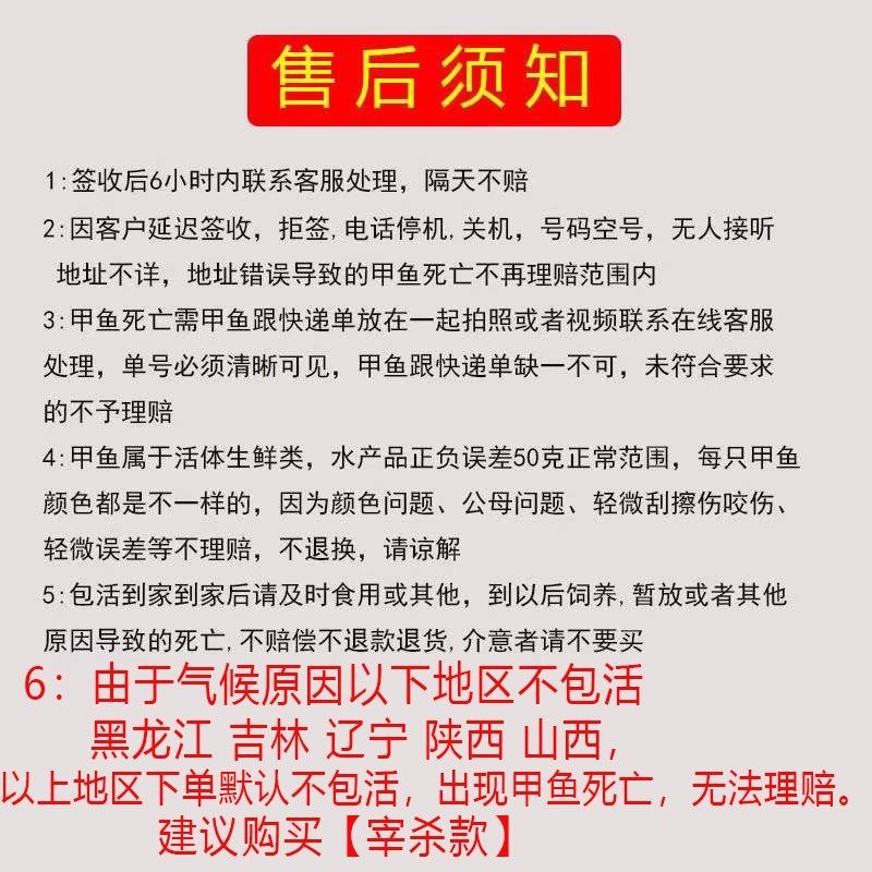 鲜活甲鱼活体免邮食用新鲜卤味小甲鱼鳖中华苗王八水鱼团鱼