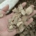 莪术统片产地云南永盛药业品种齐全质量好价格低
