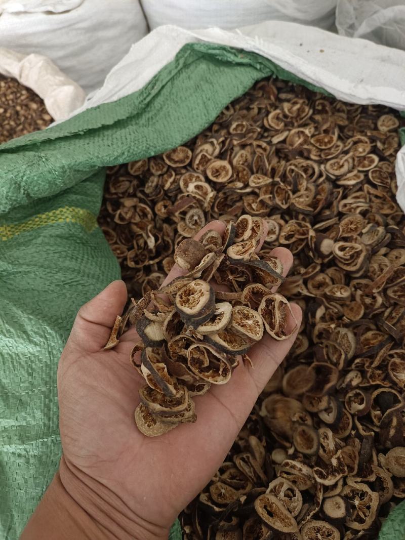青皮产地浙江统货永盛药业品种齐全质量好价格低