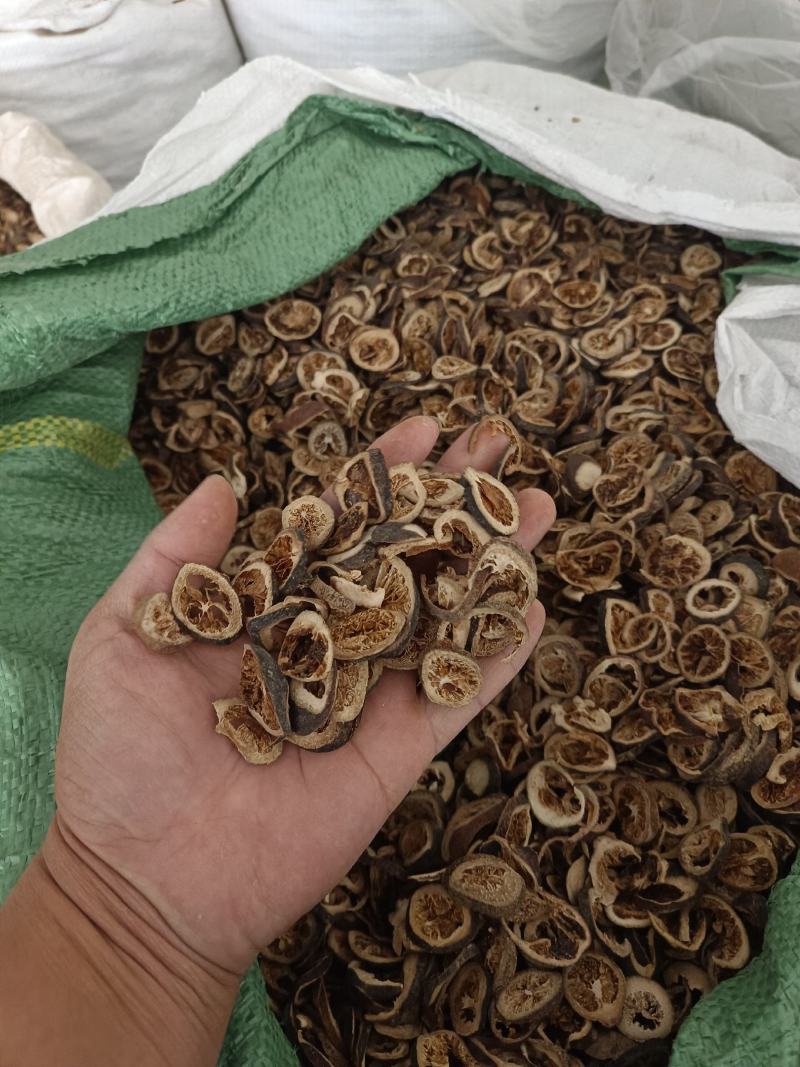 青皮产地浙江统货永盛药业品种齐全质量好价格低