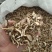 枳壳好统货产地江西永盛药业品种齐全质量好价格低