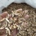 枳壳好统货产地江西永盛药业品种齐全质量好价格低
