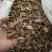 木香好统货产地云南永盛药业品种齐全质量好价格低