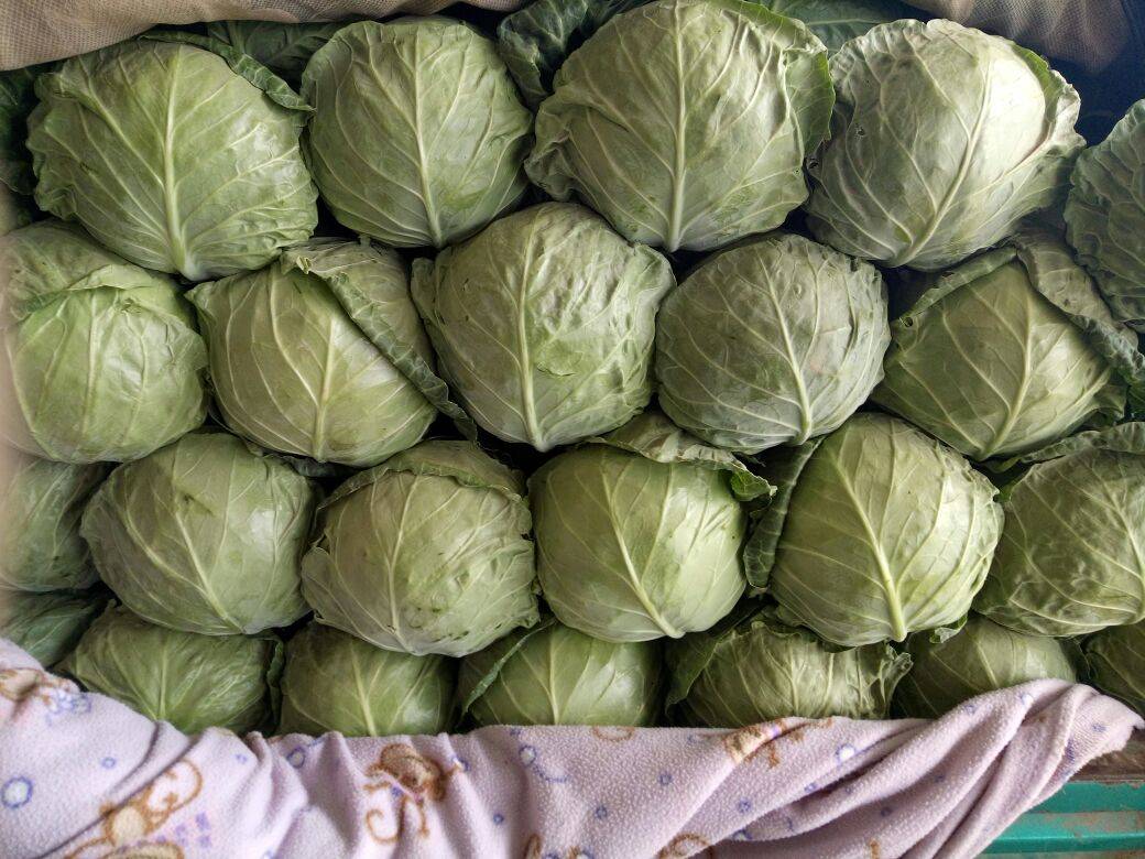 羽衣甘蓝牛油果酸奶搅拌过程