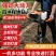 包邮五羊本田钻机挖坑园林植树挖坑机果园施肥挖坑机园林工具