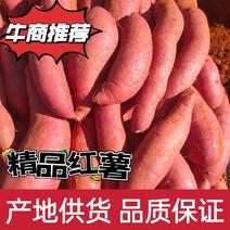 高原蜜薯西瓜红（红皮王）精品红薯量大从优欢迎