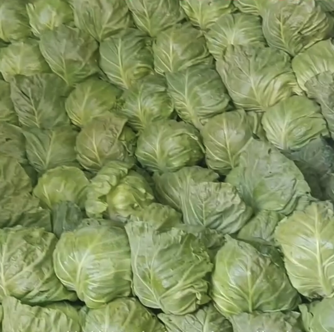 羽衣甘蓝奇亚籽豆浆食材组合图