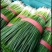 香葱青蒜，油菜莴笋以及各种理由