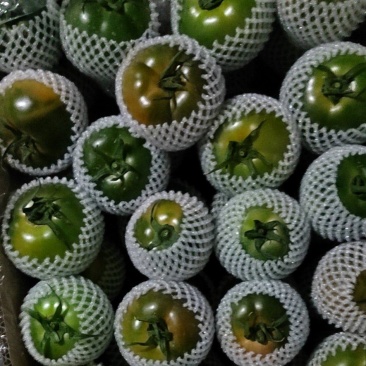 各种精品草莓柿子