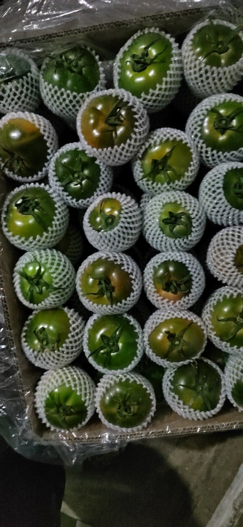 各种精品草莓柿子