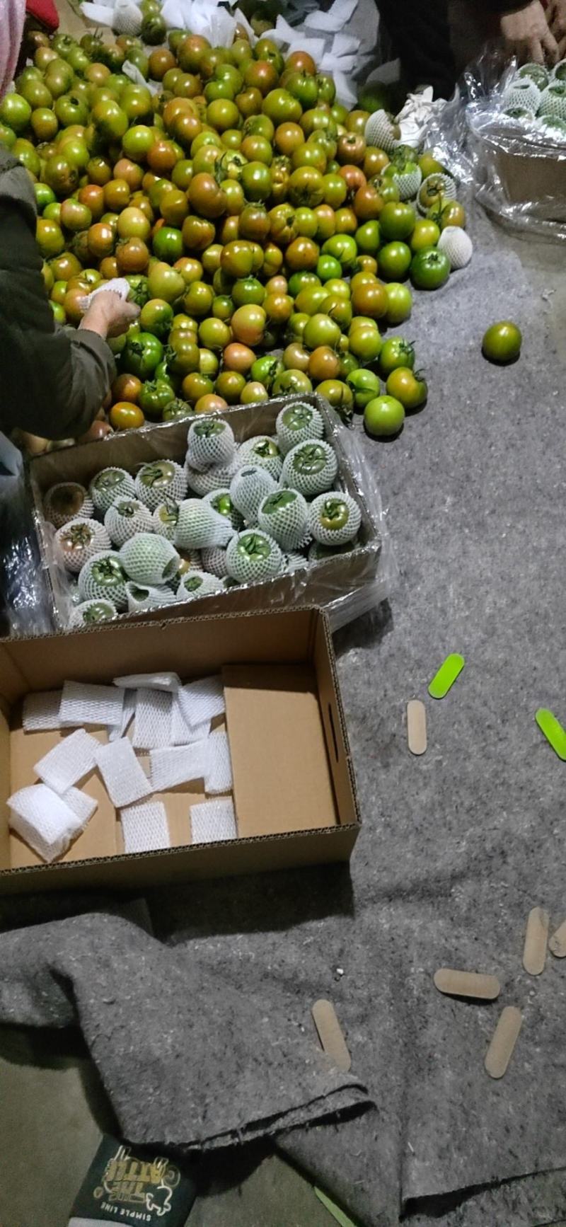 各种精品草莓柿子