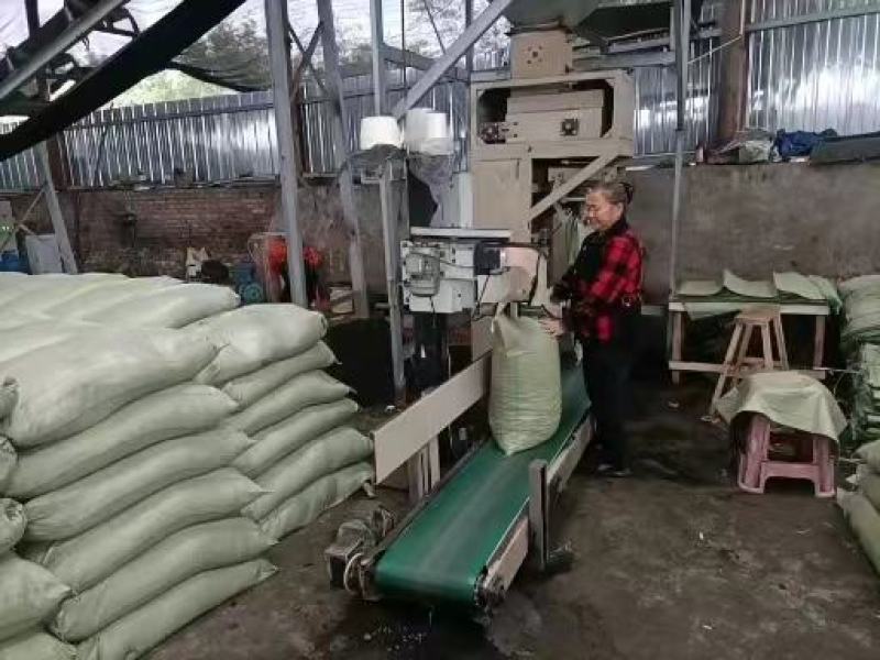 【可视频看货】四川发酵牛粪有机肥大量供应