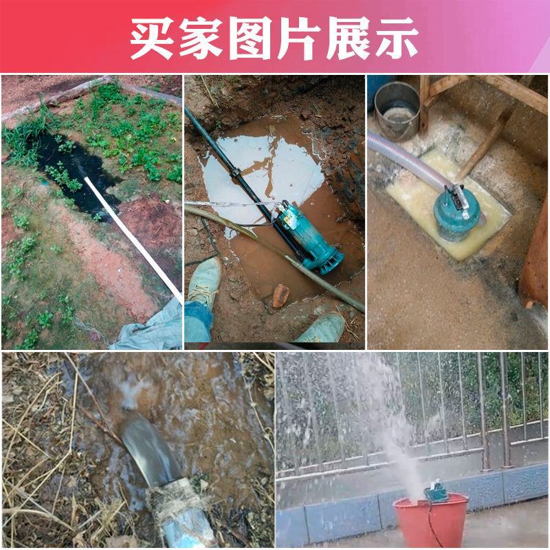 上海铜线家用污水泵220v排污泵抽水井化粪池沼气泵