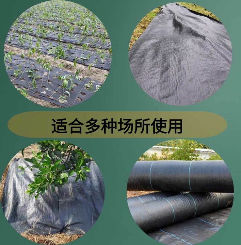 防草布厂家除草布透气保湿抗老化园艺地布全国发货