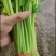 大量提供香芹欢迎各路电商老板来电