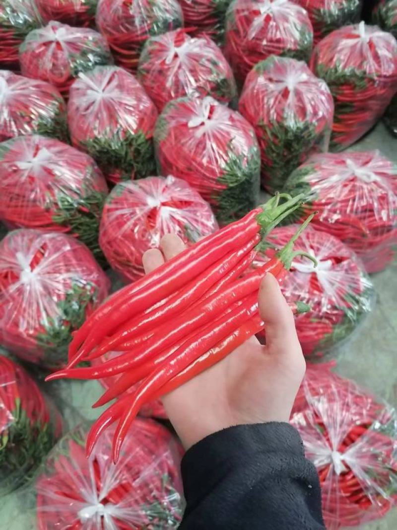 3号硬皮红线椒