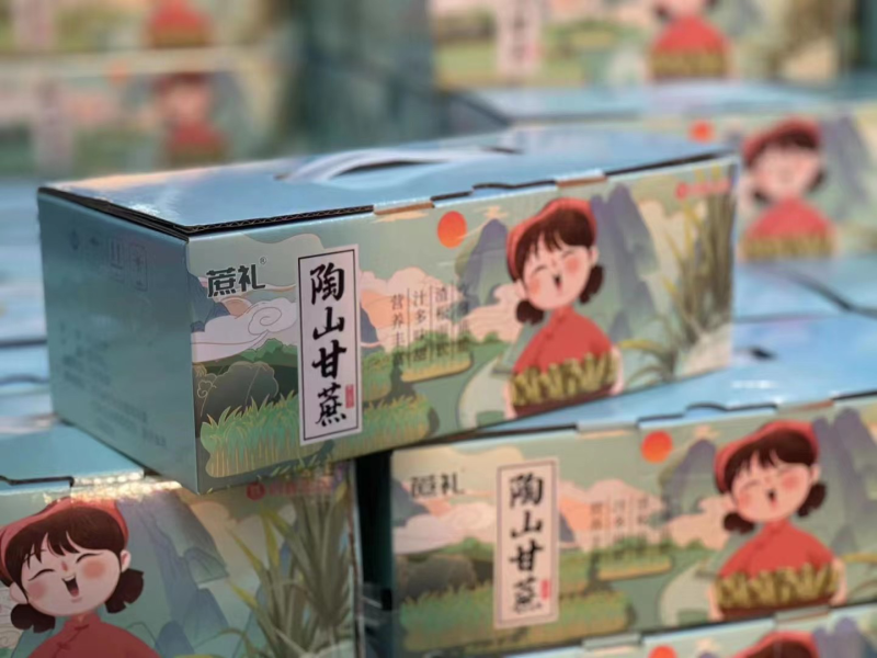陶山甘蔗皮薄质脆渣松而软汁多味甜