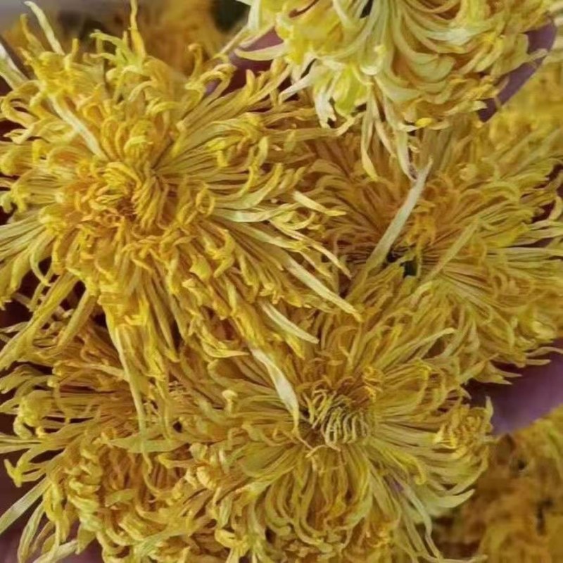 农副产品烘干机瓜果蔬菜食用菌中药材烘干设备辣椒烘干羊肚菌