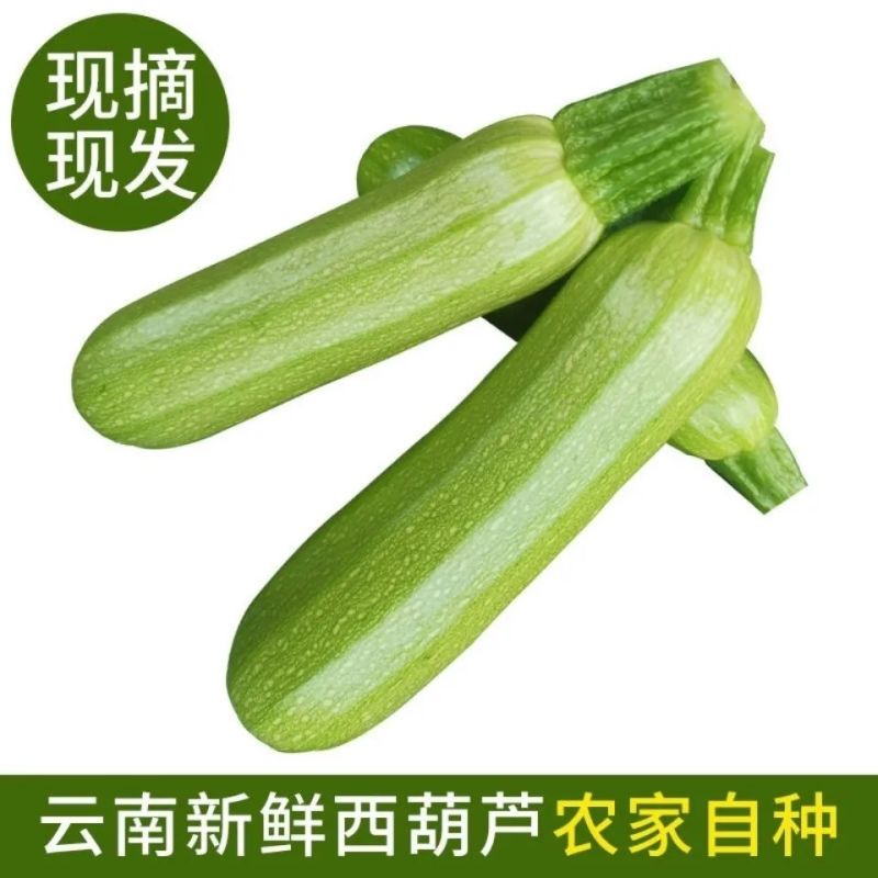 攀枝花三月瓜