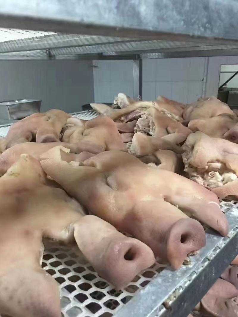 猪头肉卤猪头带核桃肉成都大量现货，大量现货
