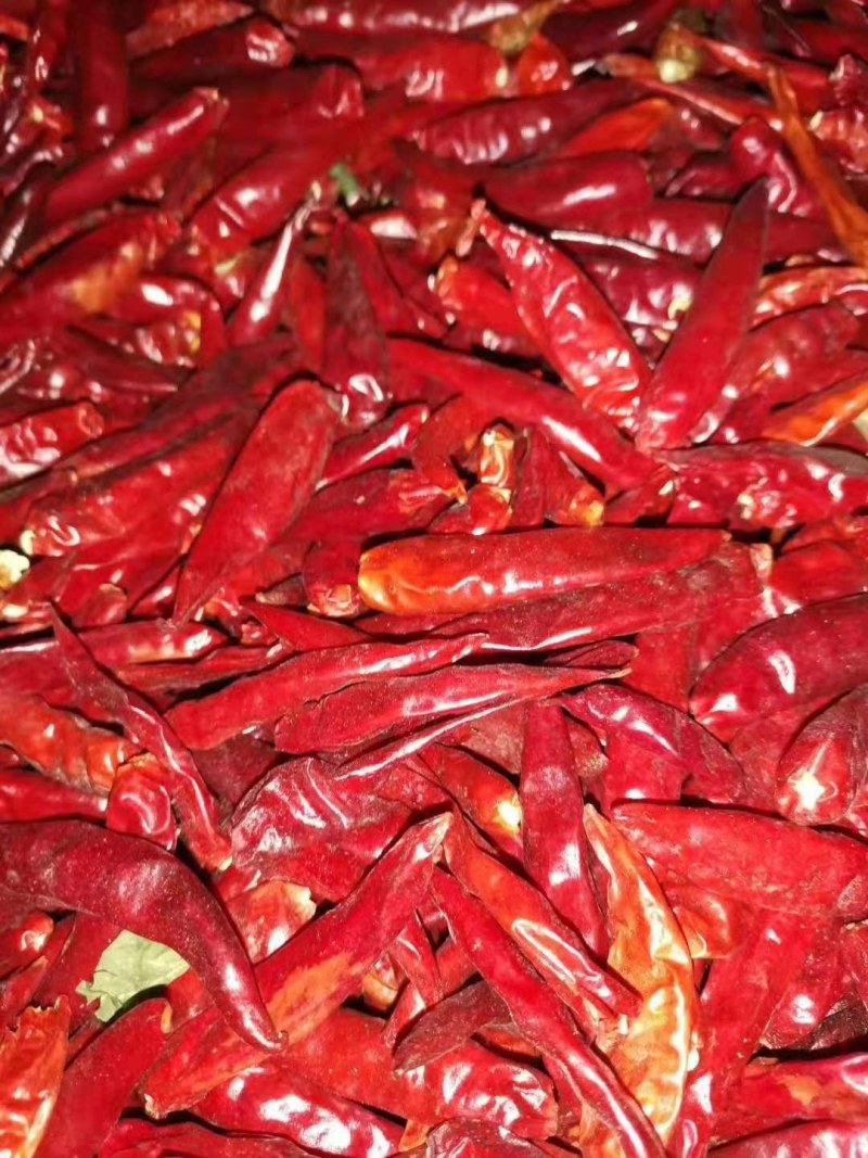 农副产品烘干机瓜果蔬菜食用菌中药材烘干设备辣椒烘干羊肚菌