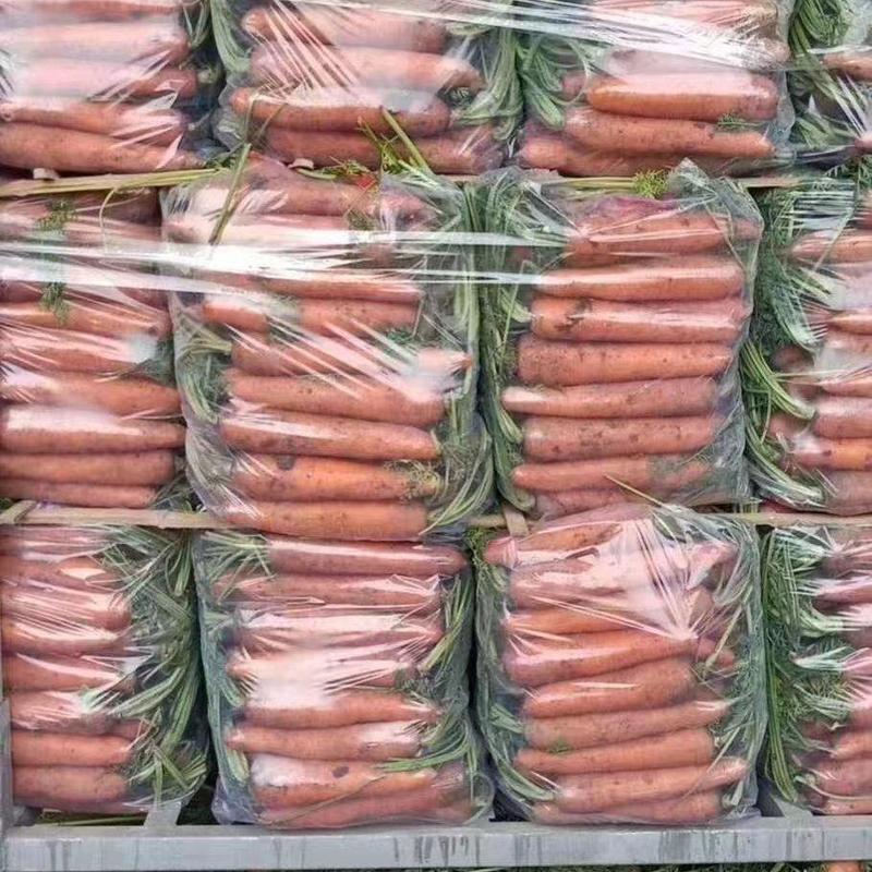 河南三红胡萝卜，半苗，全苗，干袋水洗代发全国商超市场档口