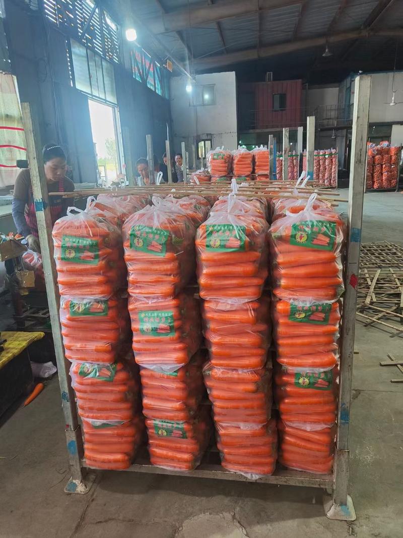 河南三红胡萝卜，半苗，全苗，干袋水洗代发全国商超市场档口