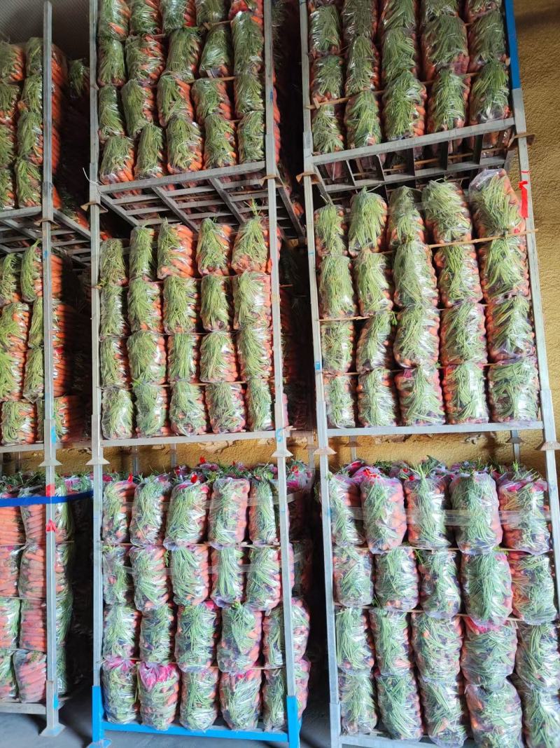 精品胡萝卜半苗全苗干袋水洗出口，产地商超市场大量供应