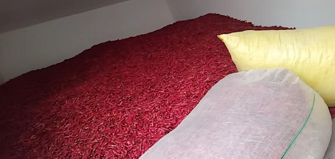 干辣椒收购商洽谈合作场景