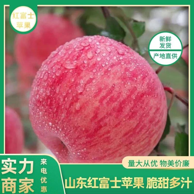 苹果/红富士苹果/山东红富士/山东干苹果/临沂苹果
