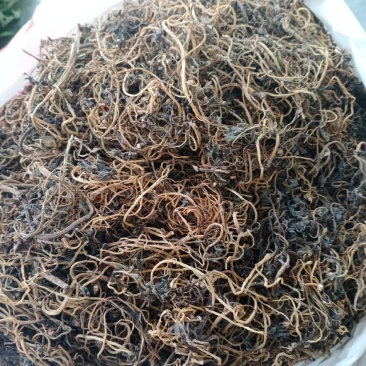 豆角干，马齿苋干
