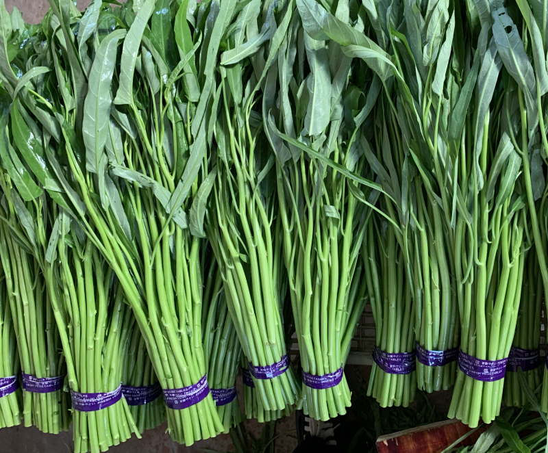 青根空心菜