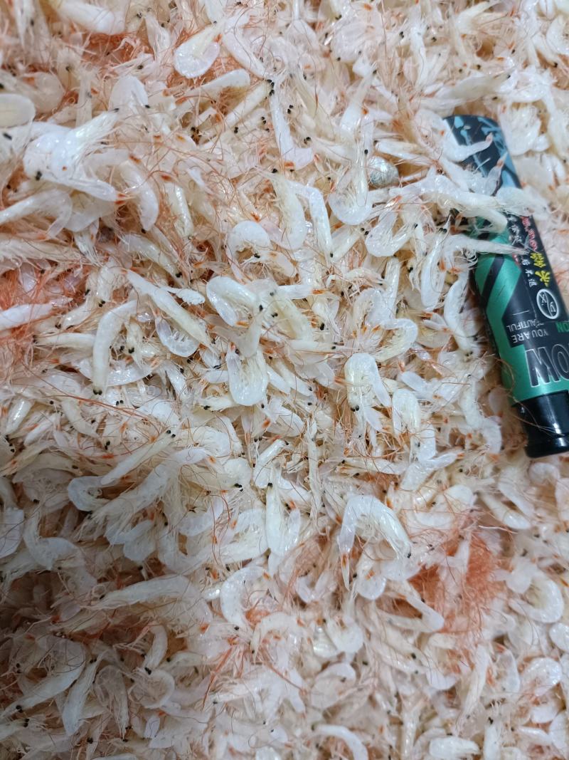渔业合作社海产干货直供。虾皮直供。价格有优势。