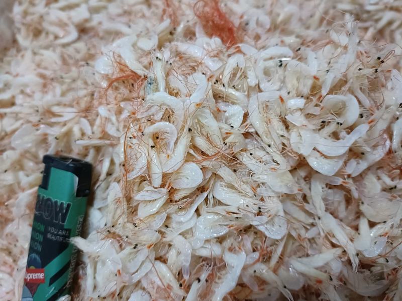 渔业合作社海产干货直供。虾皮直供。价格有优势。