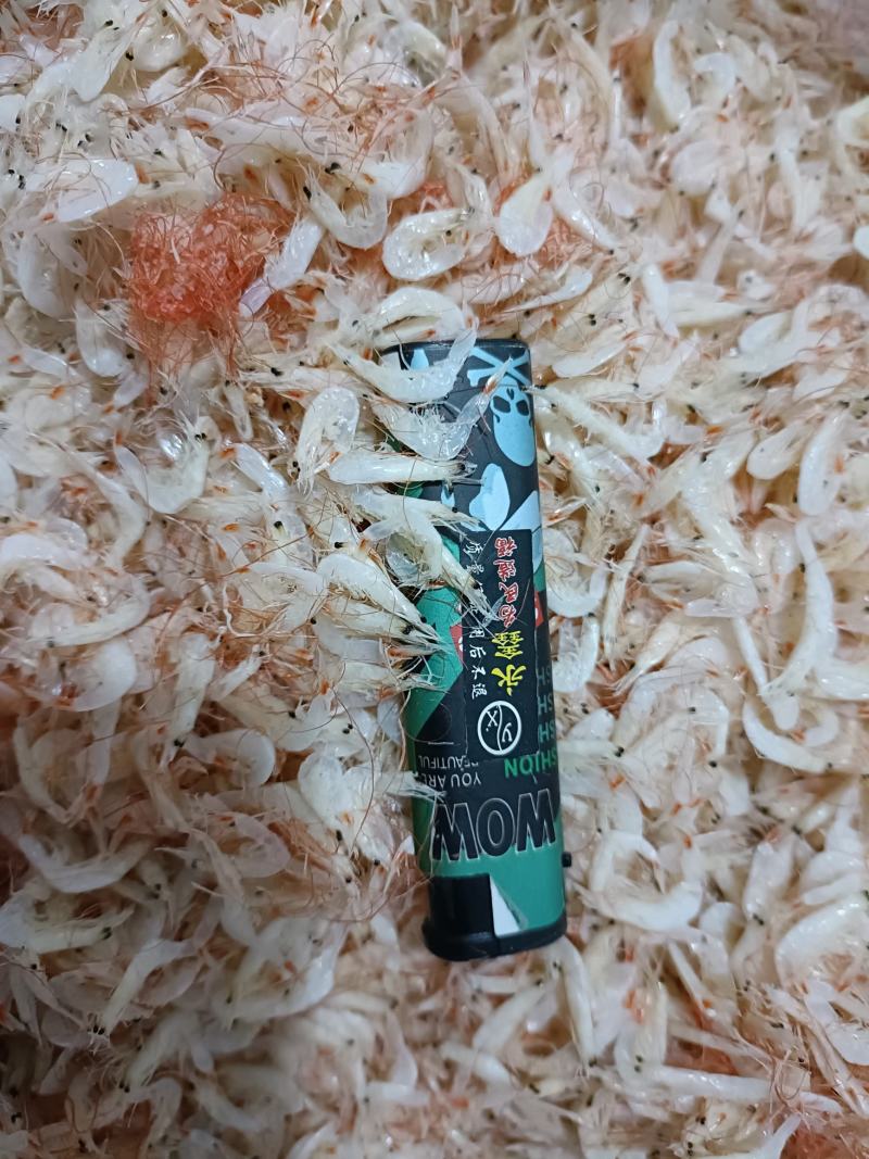 渔业合作社海产干货直供。虾皮直供。价格有优势。