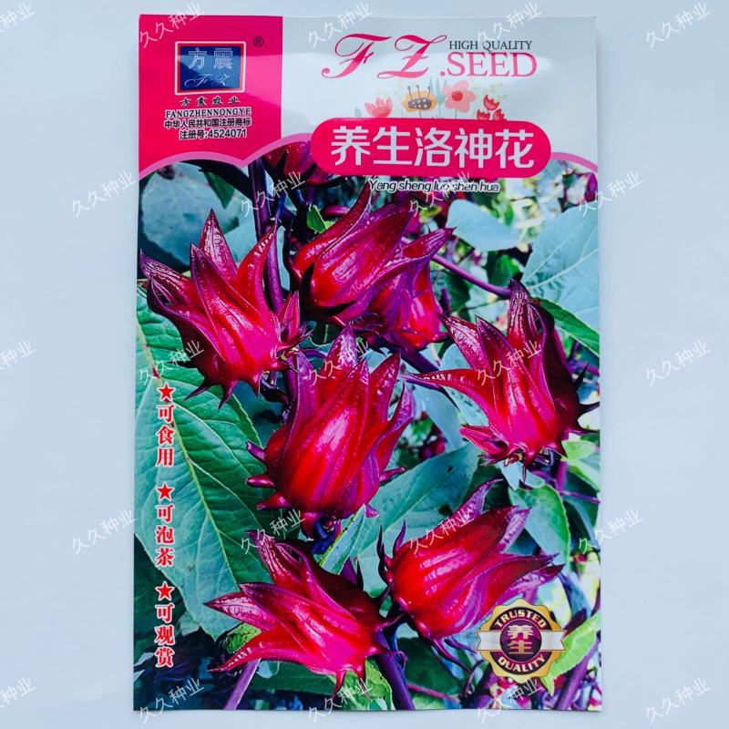 养生洛神花种子食用红桃K种子阳台盆栽茄花草茶种籽易种植