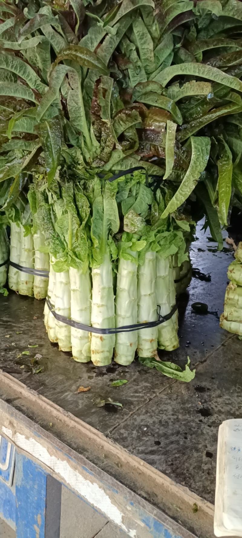 红叶香笋大量上市