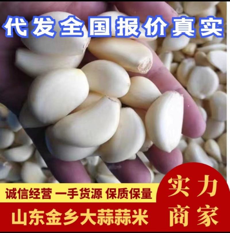 【实力商家】蒜米蒜芯米蒜子去皮大蒜供应食品厂市场批发
