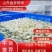 【实力商家】蒜米蒜芯米蒜子去皮大蒜供应食品厂市场批发