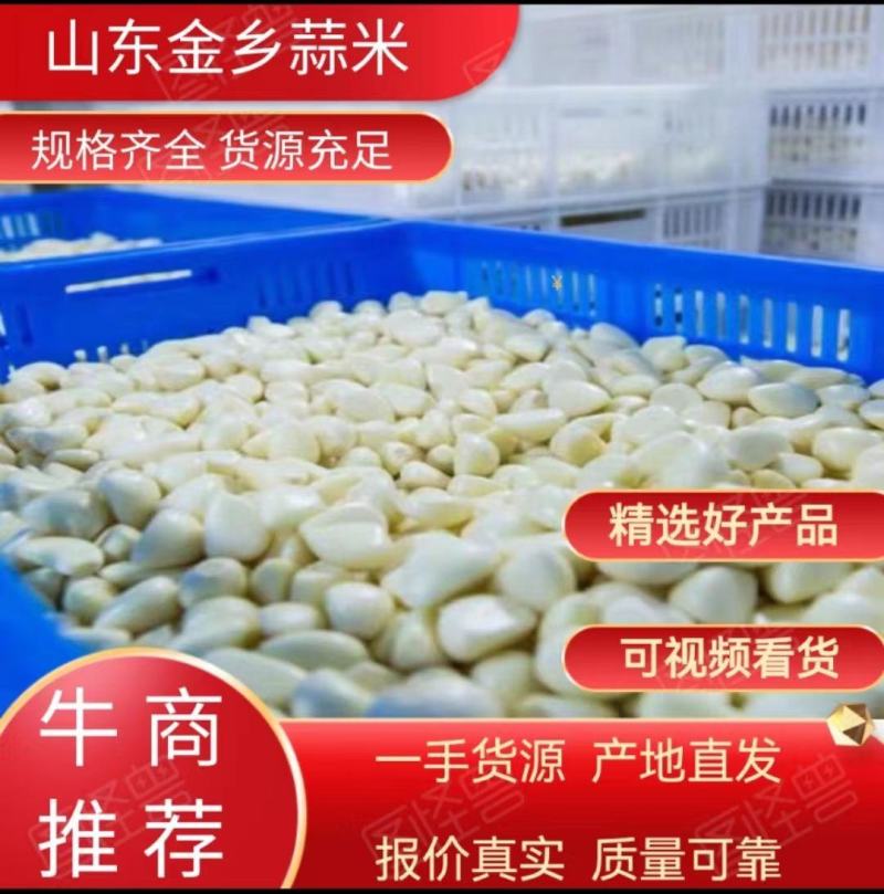 【实力商家】蒜米蒜芯米蒜子去皮大蒜供应食品厂市场批发