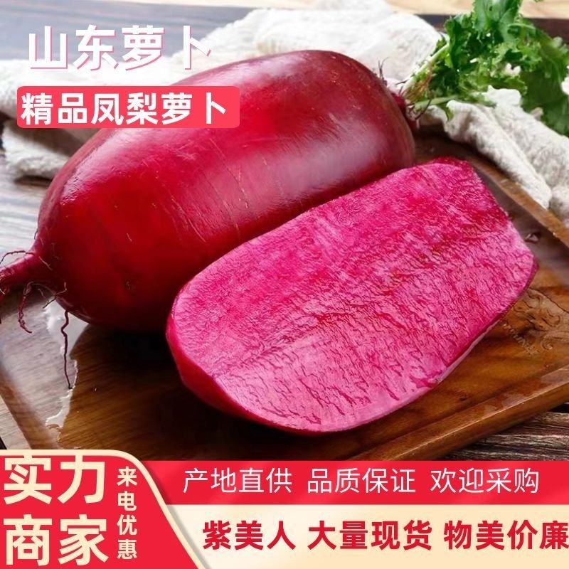 【实力】萝卜紫美人凤梨萝卜潍坊产地直供礼盒电商货团购