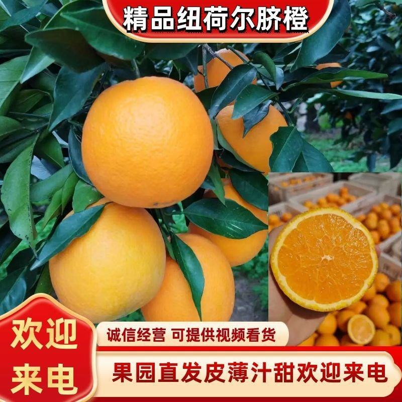 好山好水出好果，秭归长虹脐橙为你的健康保驾护航。