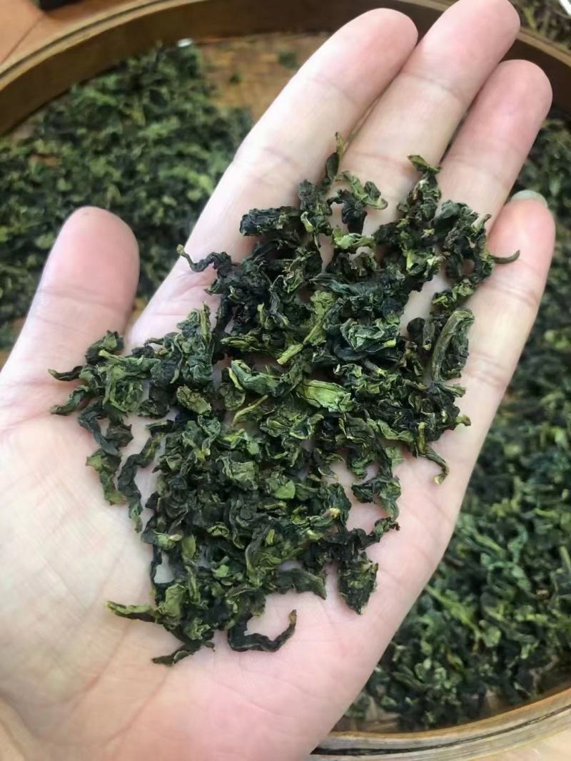 第一秋茶铁观音全部手工制作
